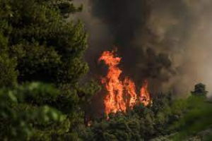 Χώροι φιλοξενίας πληγέντων από τις πυρκαγιές