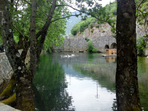 Συγκρότηση Ομάδας Εργασίας για τους παραπόταμους του Ευρώτα