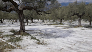 Χαλαζόπτωση 23/3/2021