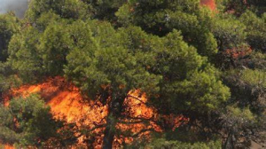 Ενημερωτικά σποτς από την Πολιτική Προστασία : Δεν ανάβουμε φωτιά για κανένα λόγο!