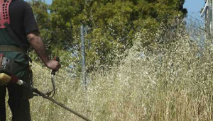 Καθαρισμός οικοπέδων και ακάλυπτων χώρων