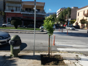 Αναβάθμιση του Πράσινου του Δήμου Σπάρτης